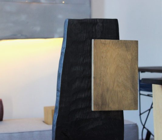 Daniele Scanga Art Designer – Open Studio