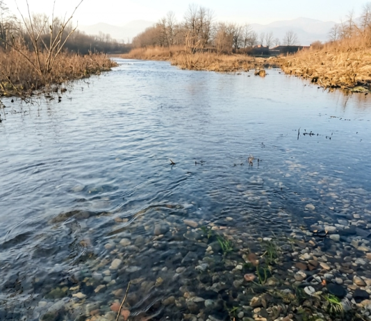 In conversazione con l’acqua