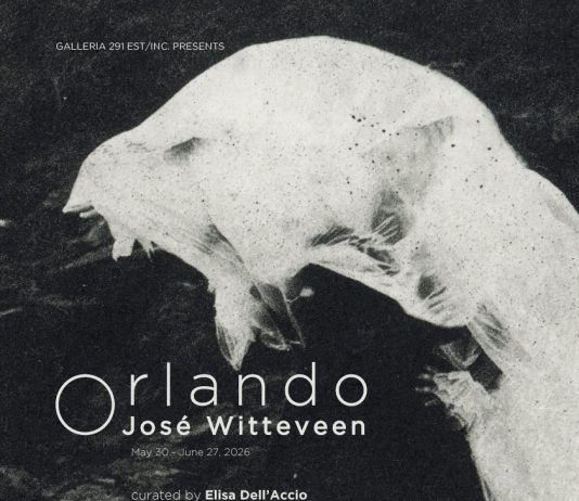 José Witteveen – Orlando José Witteveen – Orlando