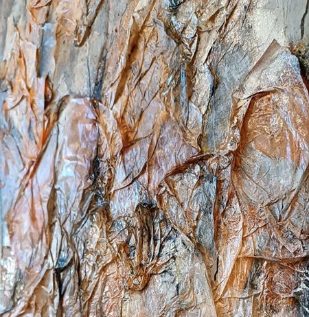 Vilma Maiocco / Paolo Di Nozzi – Geometrie Variabili