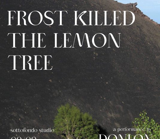 FROST KILLED THE LEMON TREE