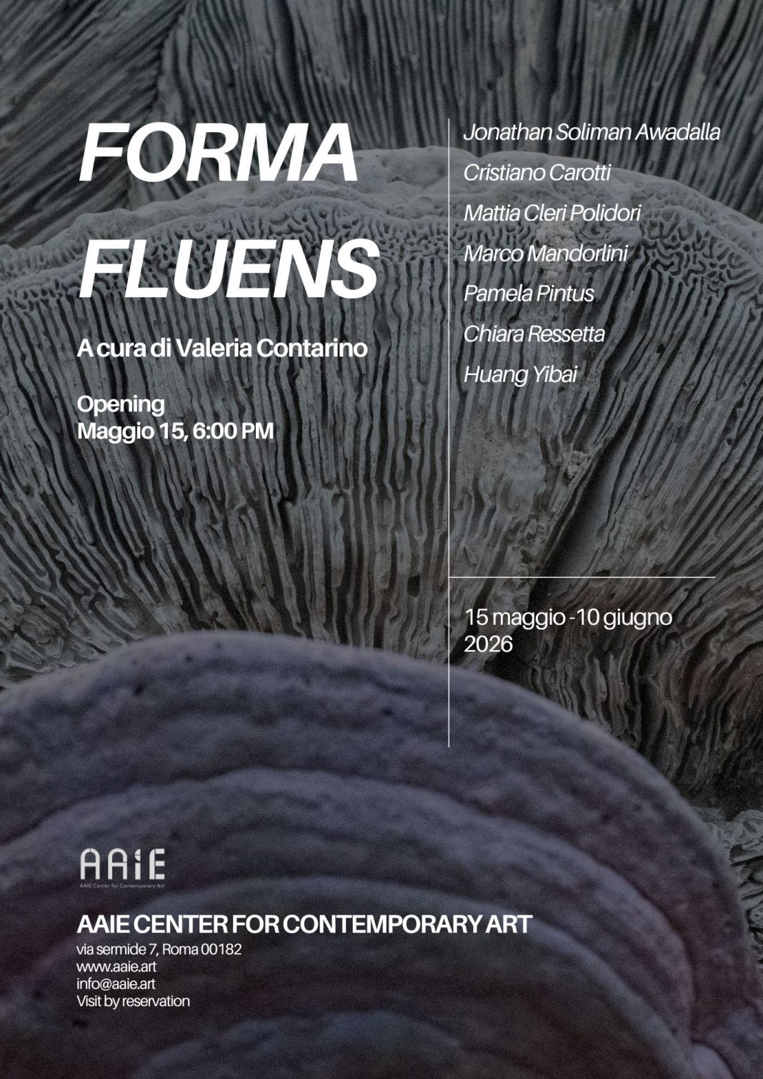 Forma Fluenshttps://www.exibart.com/repository/media/formidable/11/img/7e2/Forma-fluens-Locandina-1068x1511.jpg