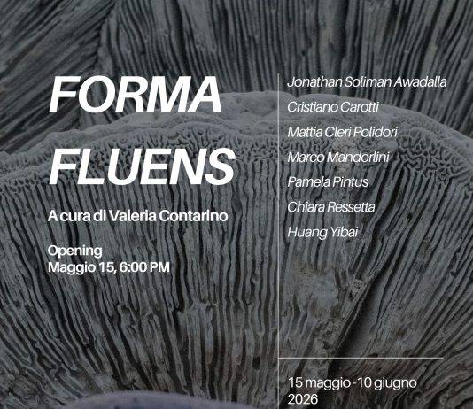 Forma Fluens