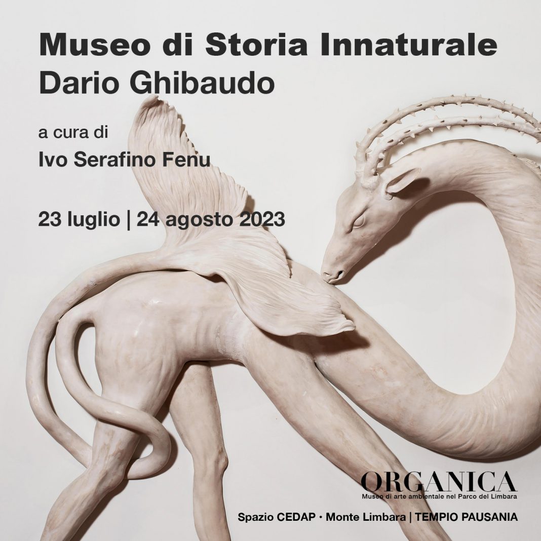 Dario Ghibaudo – Museo di Storia Innaturalehttps://www.exibart.com/repository/media/formidable/11/img/7e2/O23-social-12x12-Ghibaudo-1068x1068.jpg