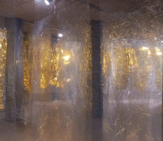 Passus. Attraverso confini sottili