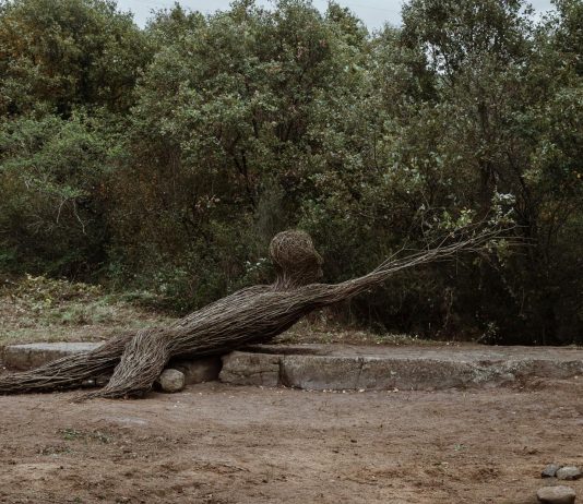Green Art Connection 2026 – Quando tutto accelera, è nella terra che ritroviamo il tempo