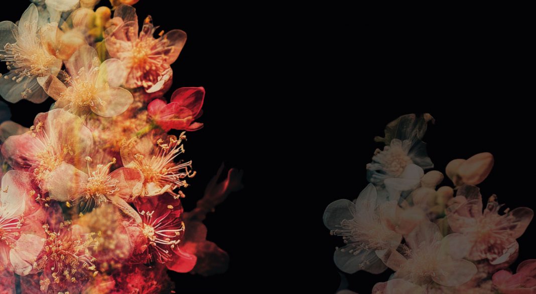 La Sublime Ossessionehttps://www.exibart.com/repository/media/formidable/11/img/803/SUBLIME-OSSESSIONE-SHORT-1068x587.jpg