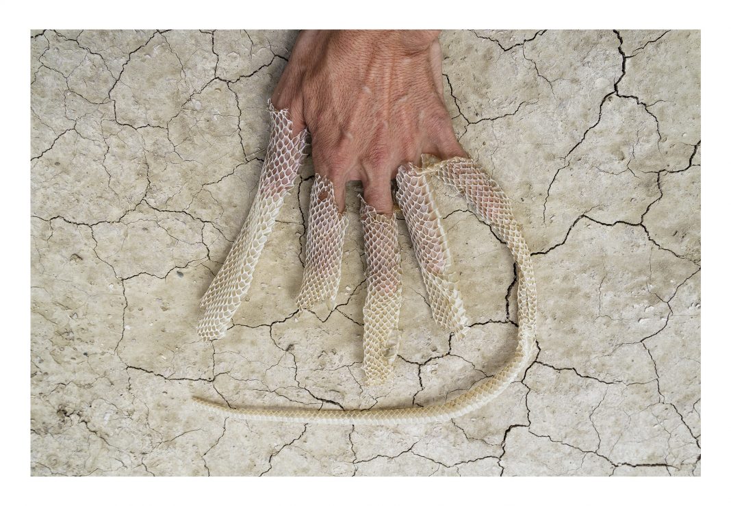 Invocazioni. Divenire Animalehttps://www.exibart.com/repository/media/formidable/11/img/826/8_Ramirez-Muda_Prensa_BienalSUR-1068x739.jpg