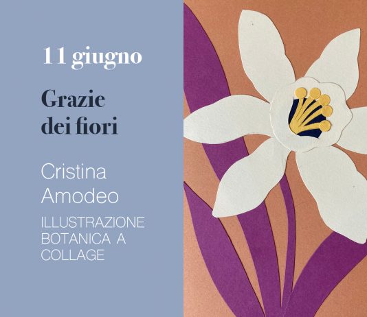 Cristina Amodeo – Workshop di illustrazione botanica a collage