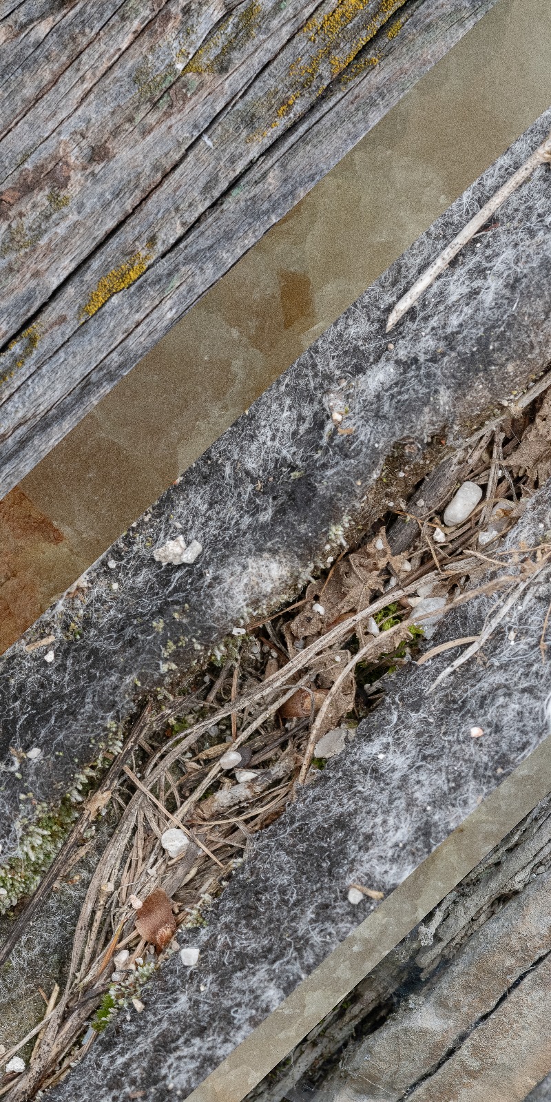 Degli Strati. Un racconto fotografico sul e nel museo di Enrico Barbettihttps://www.exibart.com/repository/media/formidable/11/img/850/Stratificazione-1.jpeg