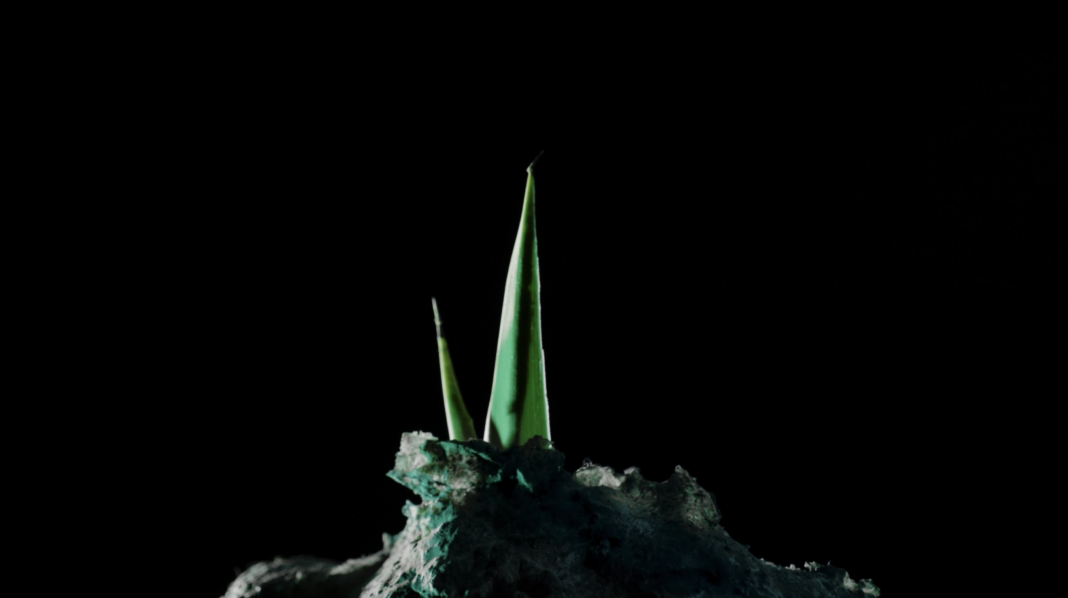 Eva Medin – Le monde après la pluiehttps://www.exibart.com/repository/media/formidable/11/img/85c/4-1068x598.png