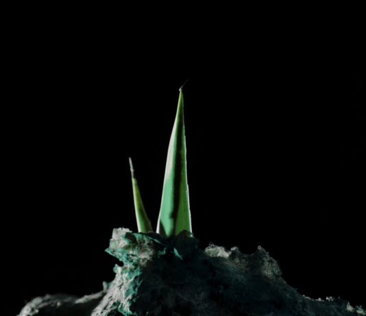 Eva Medin – Le monde après la pluie