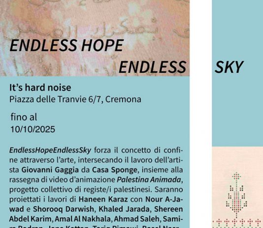 Endless Hope Endless Sky