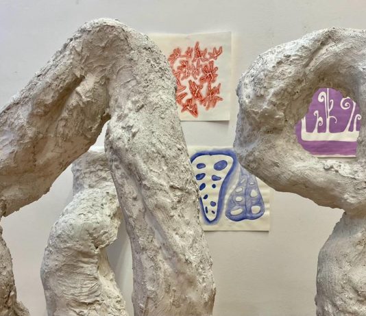 Naomi Treistman – Finite Automata