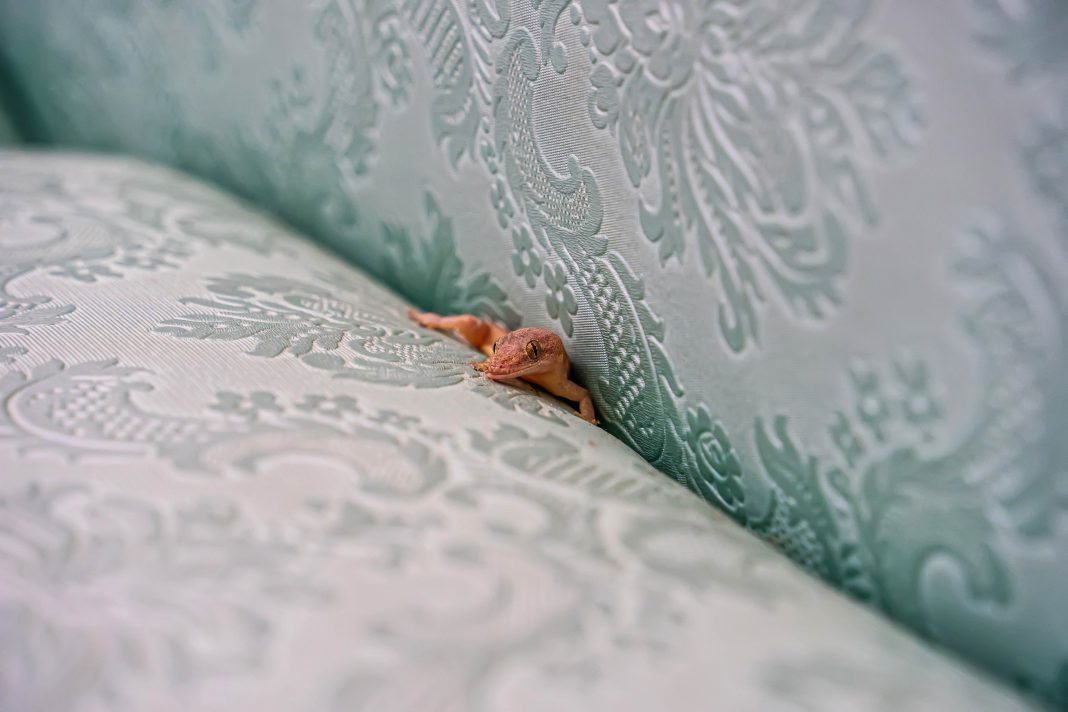 David Brooks – Tableaux Vivants (You’re Gonna Miss Us When We’re Gone)https://www.exibart.com/repository/media/formidable/11/img/86a/brooks-1068x712.jpg