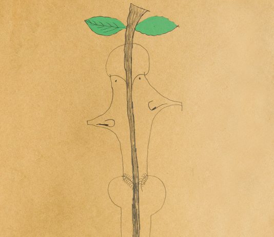 Sul filo del disegno