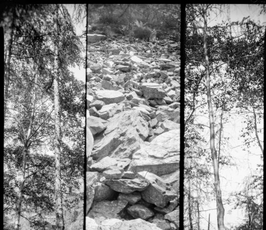 Un PO di Storia: il paesaggio infinito