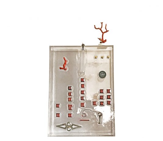 Lucia Dell’Orto – Open care