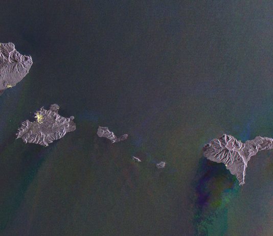 Gayle Chong Kwan – Waste Archipelago