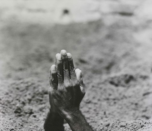 San Francesco. Nostro contemporaneo tra Arte e Spiritualità