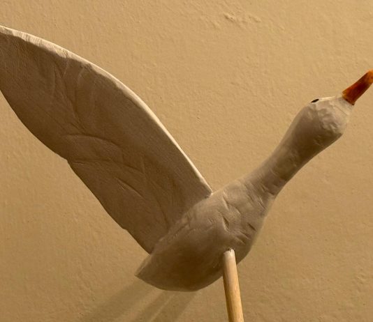 Fabrizio Guidi – Volo di Uccelli