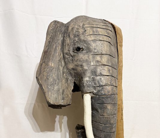 Pierluigi Funes – Animali e altri racconti Pierluigi Funes – Animali e altri racconti