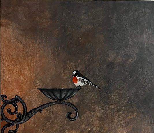 Natura : Spettacolo Natura : Spettacolo