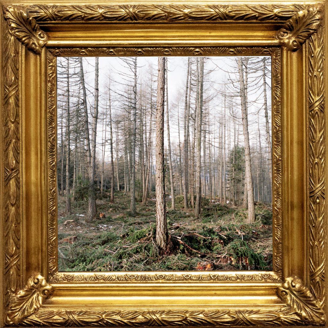 Andrea Salvà – KENNST DU DAS LAND?https://www.exibart.com/repository/media/formidable/11/img/92e/KDDL-exibart-1068x1068.jpg