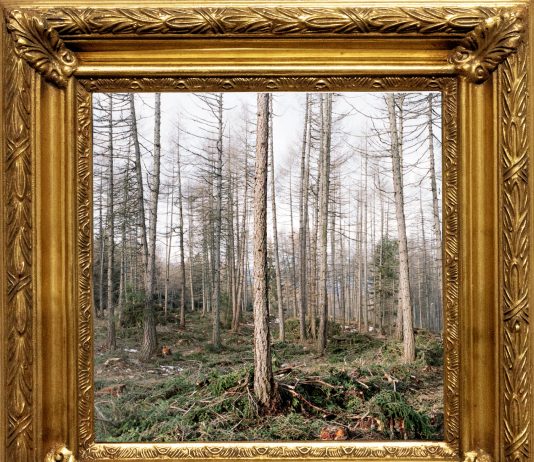 Andrea Salvà – KENNST DU DAS LAND?