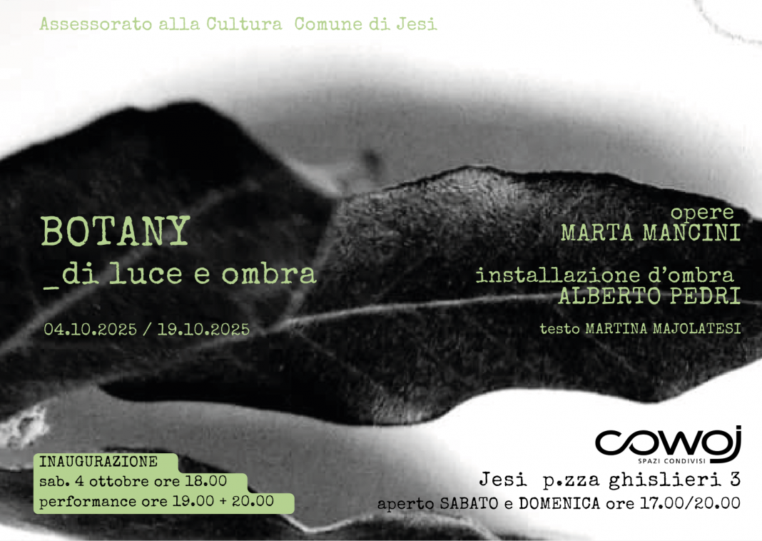 Marta Mancini/Alberto Pedri – Botany_di luce e ombrahttps://www.exibart.com/repository/media/formidable/11/img/935/2-1068x758.png