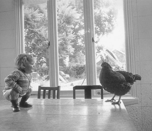 Enzo Arnone – Ciccì Coccò