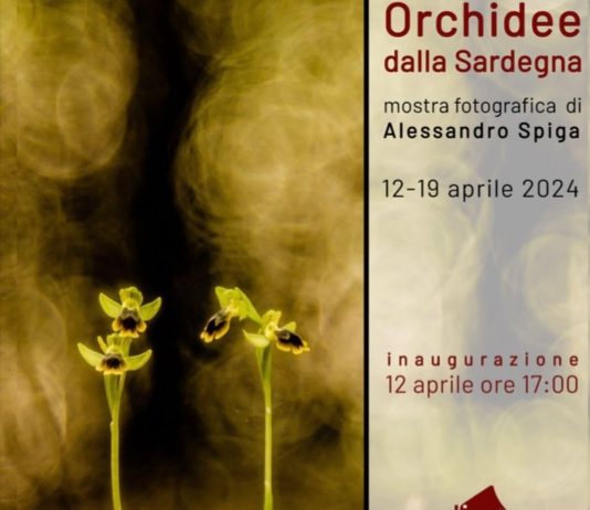 Alessandro Spiga – Orchidee dalla Sardegna