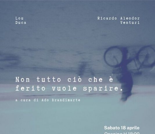 Non tutto ciò che è ferito vuole sparire.