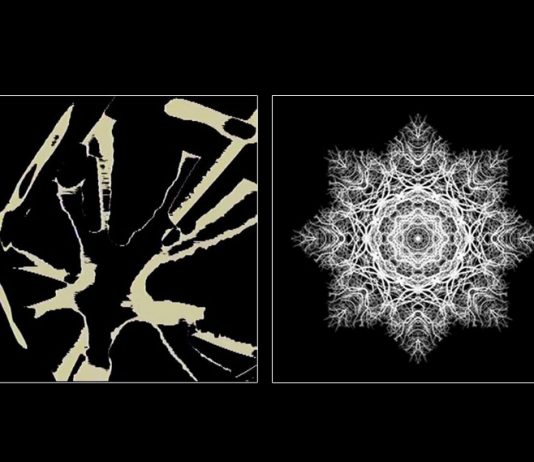 Giacomo Guerrini / Silvia Serenari – Snowflake / Transmutatio
