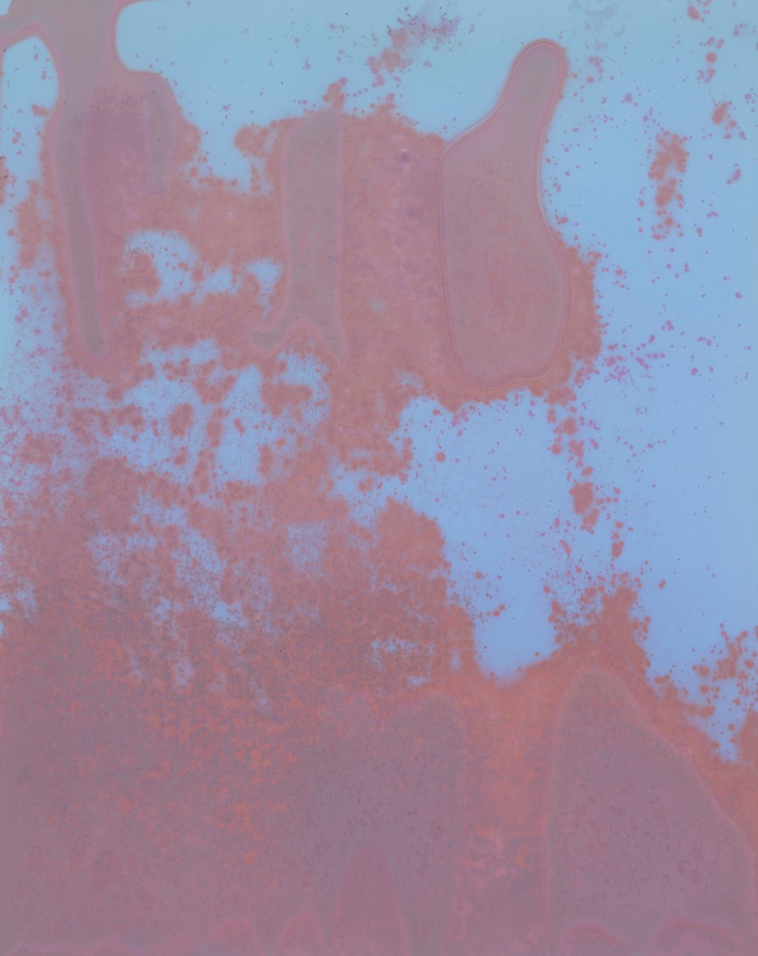 Cati Bestard Rotger – To Avoid an Infinite Loop – Act II: Recurrenceshttps://www.exibart.com/repository/media/formidable/11/img/954/fragments.cbr_.v-1068x1347.jpg