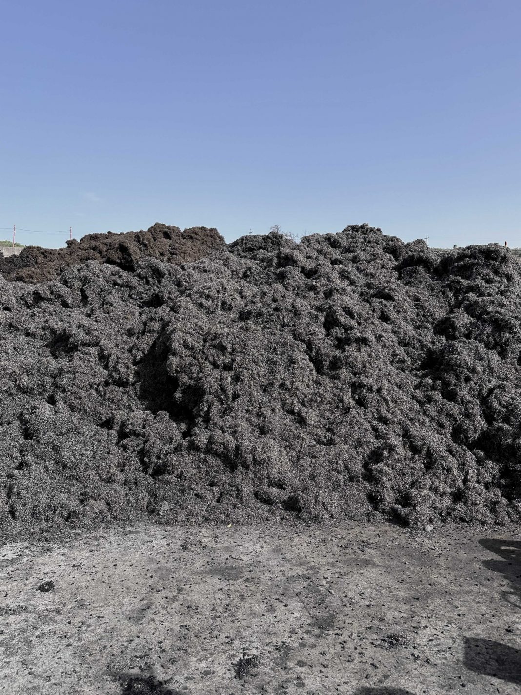 Giuseppe Lo Casciohttps://www.exibart.com/repository/media/formidable/11/img/957/Lo_Cascio_2MB-1068x1424.jpeg