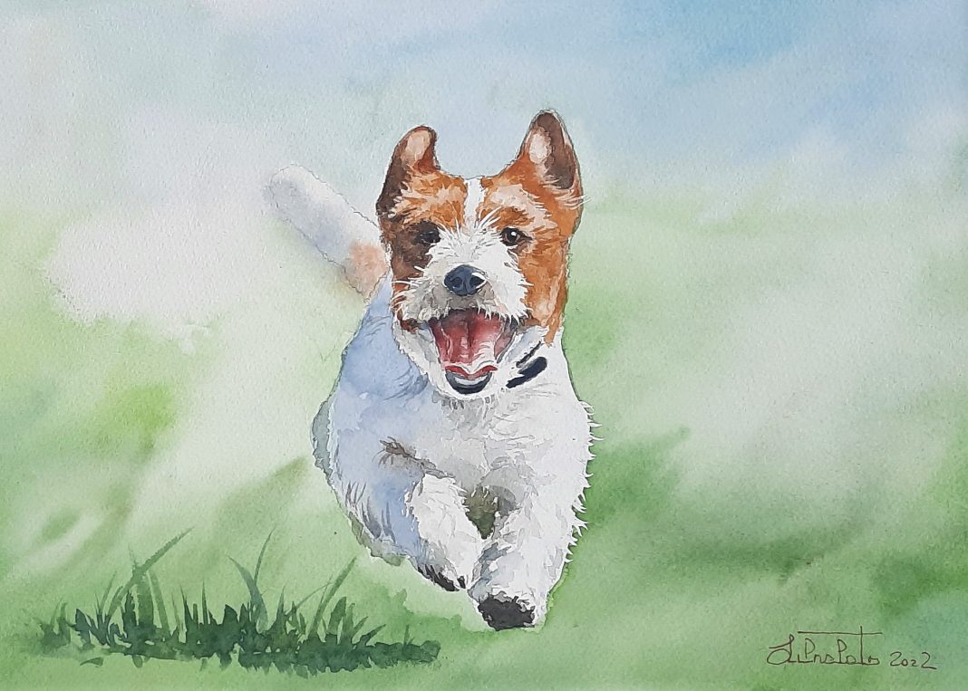 Valerio Libralato – 25 Anni di acqua e colorehttps://www.exibart.com/repository/media/formidable/11/img/963/20230829_122315-1068x763.jpg