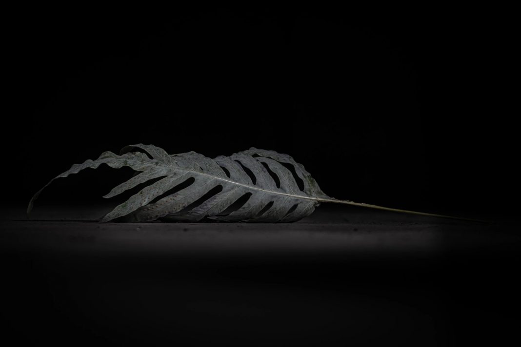 Elisa Gambalonga – Antinomiehttps://www.exibart.com/repository/media/formidable/11/img/967/opo08fa0.jpg-1068x712.jpg