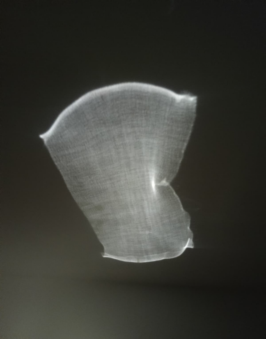 Francesco Alberico – Per fortuna è una notte di luna / Luckily, it’s a moonlit nighthttps://www.exibart.com/repository/media/formidable/11/img/96c/image-1068x1362.png