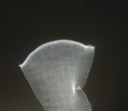 Francesco Alberico – Per fortuna è una notte di luna / Luckily, it’s a moonlit night Francesco Alberico – Per fortuna è una notte di luna / Luckily, it’s a moonlit night