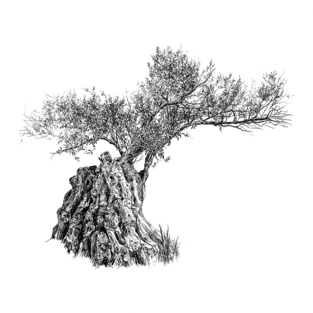 Neva Bergemannhttps://www.exibart.com/repository/media/formidable/11/img/972/Neva-Bergemann-Relic-grafite-su-carta-cm-114x114-1068x1068.jpg