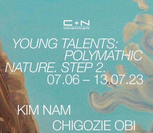 Young Talents: Polymathic Nature. Step 2.