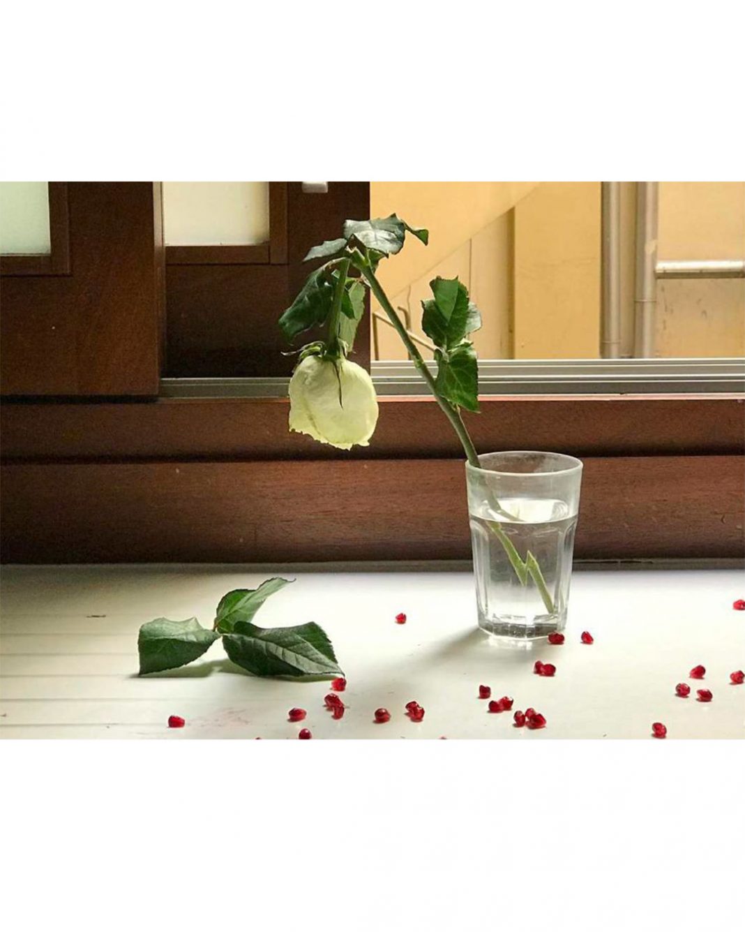 Vida Detenidahttps://www.exibart.com/repository/media/formidable/11/img/9a1/Vida-Detenida_©Pedro-Almodóvar-1068x1335.jpg