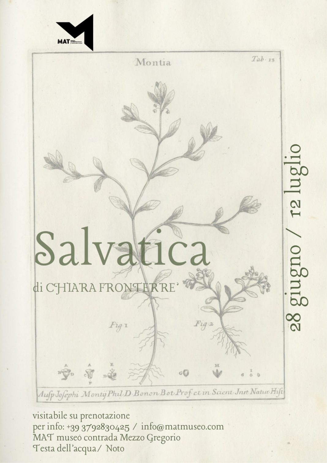 Noto, “Salvatica”, i quadri di Chiara Fronterrè al Museo antropologico di Testa dell’Acquahttps://www.exibart.com/repository/media/formidable/11/img/9a2/03_salvatica-1068x1511.jpg