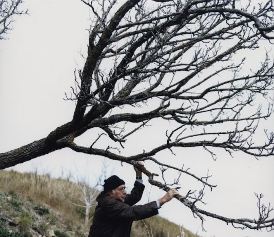 I frutti come li sognano i contadini in inverno