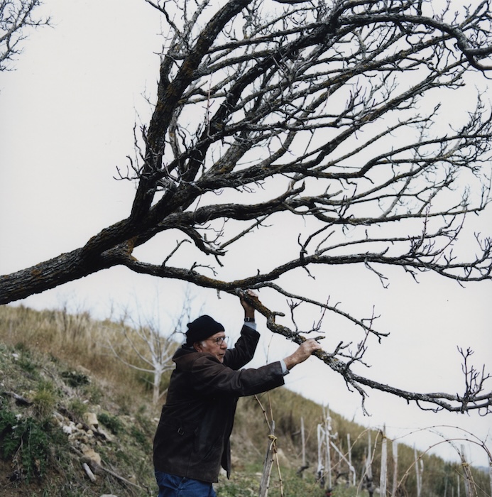 I frutti come li sognano i contadini in invernohttps://www.exibart.com/repository/media/formidable/11/img/9bc/Gregor_400dpi09-copia.jpg