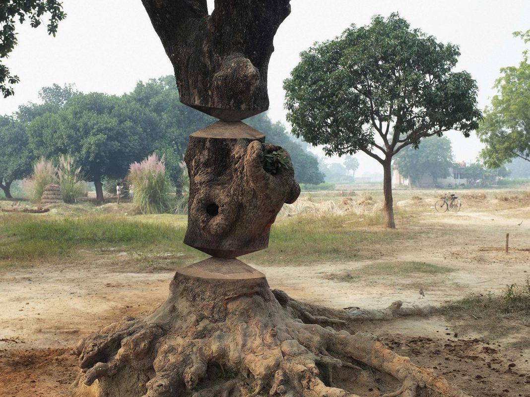 Paolo Giordano – The Valley of Whirling Treeshttps://www.exibart.com/repository/media/formidable/11/img/9bc/Paolo-Giordano-Uttar-Pradesh-2014-from-the-series-‘The-Valley-of-the-Whirling-Trees-Assab-One-©Paolo-Giordano_bassa-1068x801.jpg