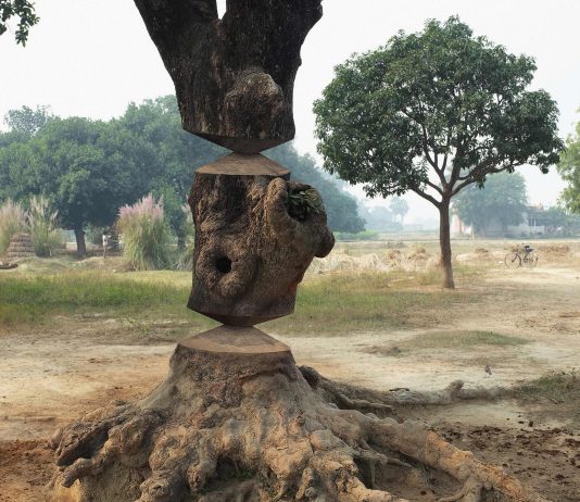 Paolo Giordano – The Valley of Whirling Trees
