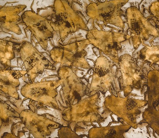 SERGIO RAGALZI – INSETTI SERGIO RAGALZI – INSETTI