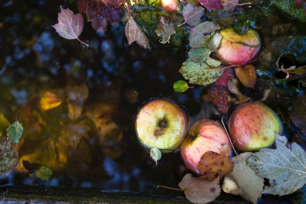 Lucia Covi – La Patina del tempohttps://www.exibart.com/repository/media/formidable/11/img/9e5/Mele-in-una-fontana-2008-80x60-Fineart-print-Hahne-Mühle-Photorag--1068x712.jpeg